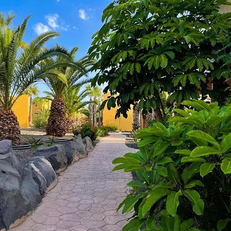 Oasi Tropical Wifi Free By Rentalfue Apartamento Corralejo